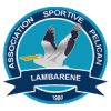 Pelican Lambarene