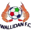 Wallidan