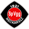 Neckarelz