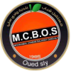 Oued Sly