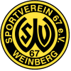 Weinberg W