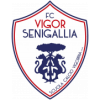 Vigor Senigallia