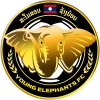 Young Elephant