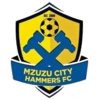 Mzuzu City