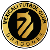 Dragones Toluca