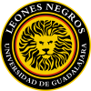 Leones Negros 2