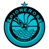 Pioneros