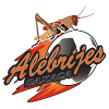 Alebrijes Oaxaca