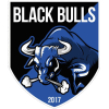 Black Bulls