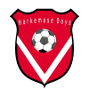 Harkemase Boys