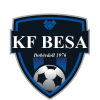 Besa 1976