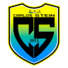 Carlos Stein
