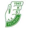 Pelikan