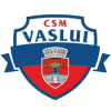 CSM Vaslui