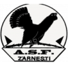 Olimpic Zarnesti