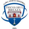 Tricolorul Breaza logo